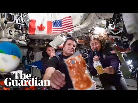Shrimp cocktail in space: Artemis II astronauts reveal on board menu