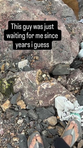 Rockhounding India on Instagram: "Zeolite hunting in pune #crystalhunting #crystalhunting💎 #crystalhunter #rockhounding #crystalcommunity"
