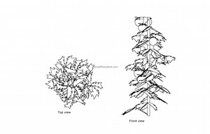 Tomato Plant - Free CAD Drawings