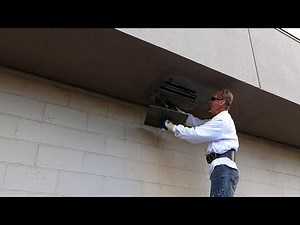 Plastering overhead against gravity.