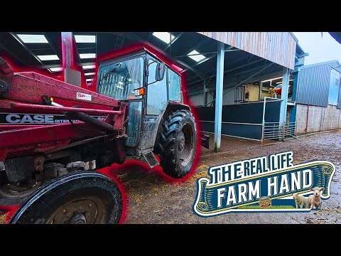 Working Solo! | The Real Life Farm Hand Blog