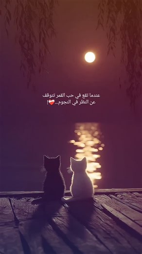 ‎tweets | أوفيسيال 💙🤴🏻‎ on Instagram: "𝕔𝕙𝕠𝕗 𝕤𝕥𝕠𝕣𝕪😍❤️‍🩹 . . . . . . . . . . #explore #explorepage #viral #trend #reel#instareels #pictureoftheday#pic #style #fashion #outfit #outfitoftheday #outfitideas #streetstyle #inspiration #morocco #maroc#casablanca#rabat #marrakech #agadir #eljadida #beach #sidibouzid #summer #vibes #love #heart #reelsinstagram"