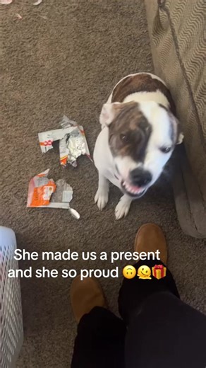 April Dawn (@aprildawn037)’s videos with original sound - April Dawn