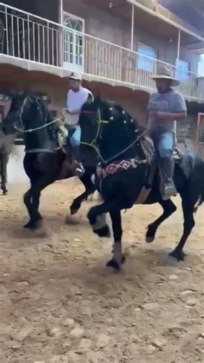 🔥🐴Caballo El Coronel🐴🔥 Montado Por Tano Castellano 🐴🤠De Cuadra Los Killos🤠🐴