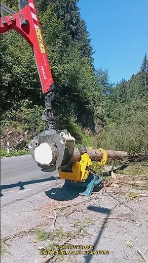From Tree to Logs: How a Hydraulic Forestry Processor Works