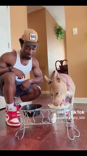 Funny and cute dogs compilation 🤣… #funnydog #funnypet #cutedog #dogsoftiktok #doglover