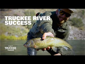 Fly Fishing the Truckee River with a Local Guide in Fall