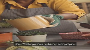 How To Grow Herbs In Your Kitchen