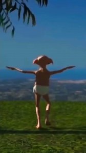 Dancing Dobby