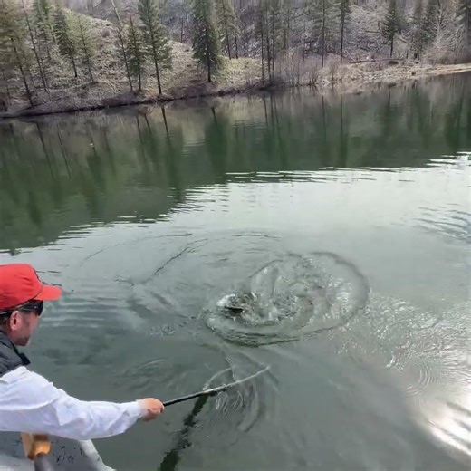 Bobber Down Brown Trout