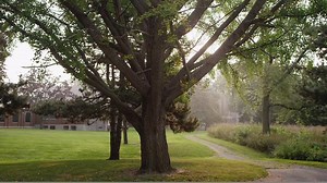 13K views · 47 reactions | La-Z-Boy Product Manager of Upholstery Penny finds inspiration in so many different areas. See how she has been able to create a collection of over 900 fabrics. | La-Z-Boy | Facebook