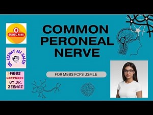 Common Peroneal Nerve | Anatomy, Branches, Injury & Foot Drop | MBBS, FCPS, USMLE