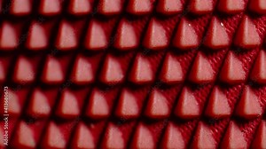 Stable camera movements and change of focus for the best perspective of this beautiful red pattern, Shot with the Sony a7iii and macro lens 90mm.