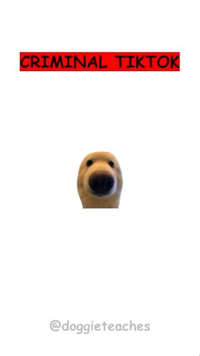 59K views · 876 reactions | Doggie Explains How to Help a Single...