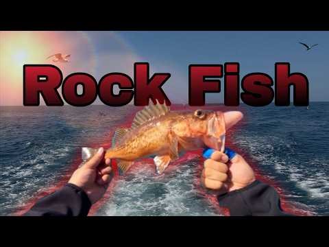 Fishing for Rock Fish!!!
