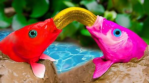 12K views · 206 reactions | Rainbow carp eat eels, catfish, Protect eggs | Kids Toy TV | Facebook