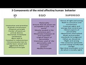 GE 7-STS- Chapter 1- Lesson 2 - Intellectual Revolutions that Defined Society mp4 (part 2)