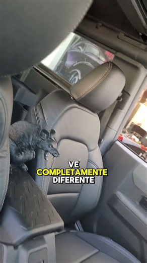 Asientos de Piel Negra para Ford Bronco | Reseña de la Renovación del Interior
