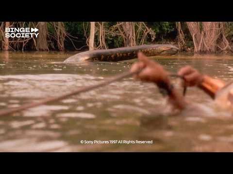 Anaconda (1997): The Anaconda Attacks…| Full Scene