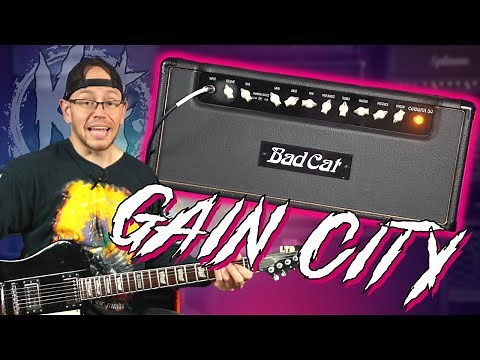 This amp is an obscure GAIN MONSTER | Badcat Cougar 50 All Tube Amplifier