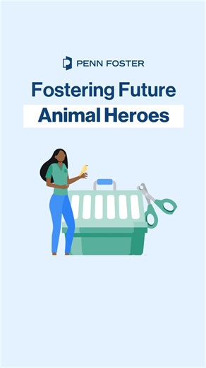 🐾 Love animals? Learn to care for pets and start on your journey to a rewarding career as a Vet Assistant! | Penn Foster