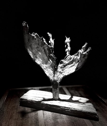 Driftwood Whale Tail Sculpture on Stand - Etsy