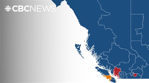 How did the federal election play out for B.C. voters?