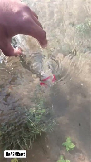 ASMR Water bubble sounds | asmr bubble sound | asmr bubble water Pure Sound