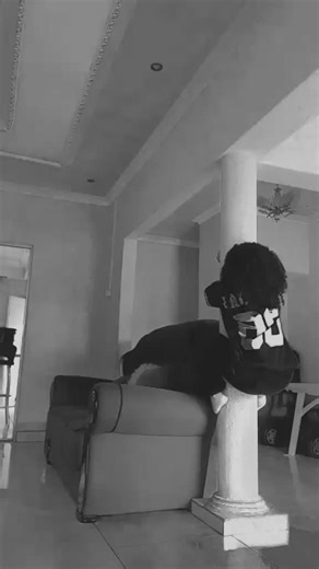👻Hailey_berry🩷🌸 (@hailey_popsicles)’s videos with original sound - MoreofMara