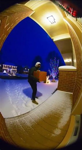 Young Masked Man Steal the Bait Porch Package Door Bell Video