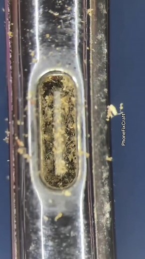 Cleaning USB-C Charging Port Under the Microscope