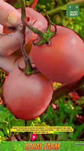 🌾 “Harvest from Your Own Hands!” 🌾 #workerwisdom #agriculture