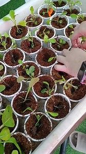 501K views · 2.1K reactions | 헛헼현 혁헼 헧헿헮헻혀헽헹헮헻혁 헦헲헲헱헹헶헻헴혀  1....