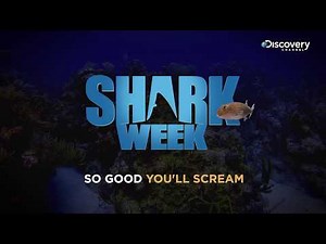 Shark Week 2019: A Guide To All The Fin-tastic Shows, Including Its First Original Scripted Movie Starring Josh Duhamel