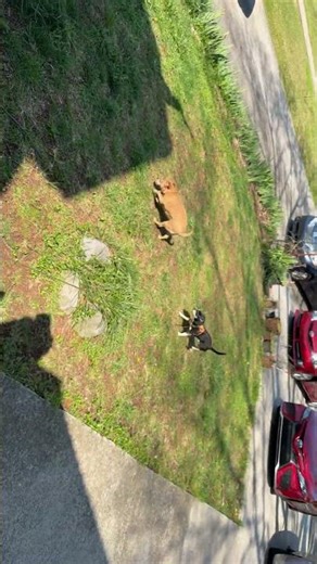 Bean won the pee race