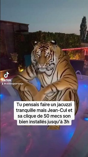 La trend du tigre ou quoi ?! #humour #memefr #tigre #tiktok #trend #tiktokvideo