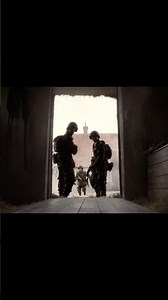 Band of Brothers (2001)