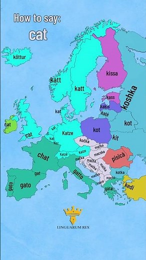 How to say Cat in Different Languages | European Languages Comparison #EuropeanLanguages
