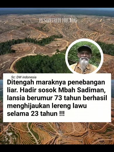 The Importance of Banyan Trees in Indonesia's Ecosystem