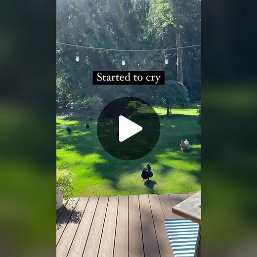 Adulting with a Debit Card: Hobby Farm Fun with Chickens