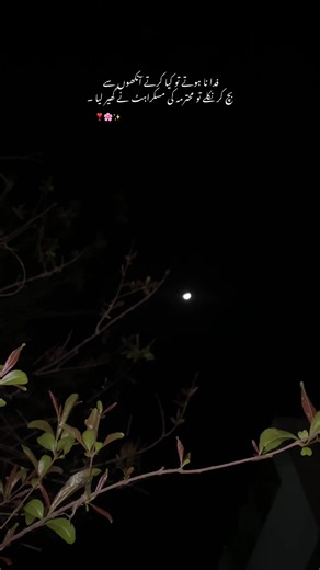 The Impact of a Smile: How It Captivates Hearts