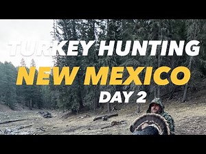 Day 2 - Gobblers Lit Up the Mountain! | New Mexico Turkey Hunt