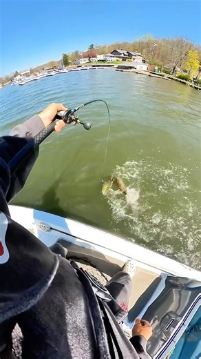 60K views · 1.5K reactions | GIANT MUSKY come out of NOWHERE  // #musky #muskyfishing #pike #predatorfishing #fiske #pesca #bassfishing #bigbass #giantbass #fishing #pondfishing #fishon #fishinglife #fishingdaily #fishinglures #fishingtime #fishingfun #fishingtime #bigbassonly #bigbassfishing #njfishing #rods #reels #fishing #fishingrod #bigbassenergy #hugebass #bassfishingislife | Dkam Fishing | Facebook