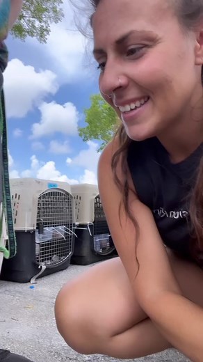 Starting an Animal Rescue: Tips and How-To Guide