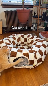 2.3K views · 203 reactions | Yall don’t even know the secret yet… should I reveal it? 狼 Comment “Donut” for link OR LINK IN BIO ❤️ #musthave #petlover #dog #pet #petcare #cat #petmusthaves | PawThentic Picks | Facebook