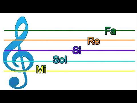 Pentagrama, lineas y espacios.