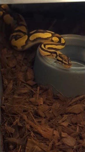 Colors staying strong ✨💪