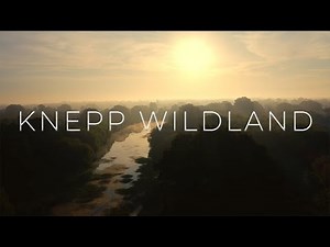 Knepp Wildland - England's Eco pioneers!