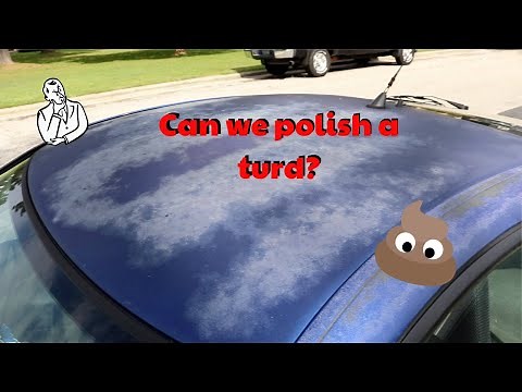 Can you polish a turd? ft. Shine Armor