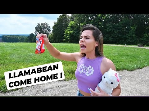 MY LLAMA RUNS AWAY !! MISSION FIND LLAMABEAN !! *scary times*